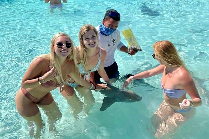 Full-Day Exuma Swimming Pigs Tour From Nassau: Iguanas, Sharks & Sandbars photo 4