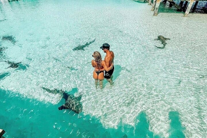 Full-Day Exuma Swimming Pigs Tour From Nassau: Iguanas, Sharks & Sandbars photo 5