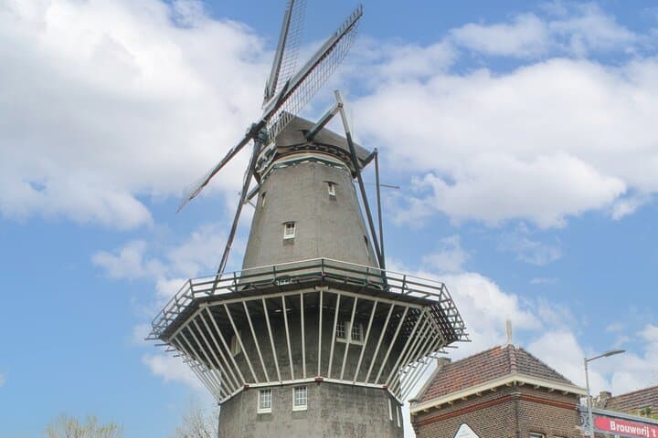 Amsterdam Countryside Bike Tour: Cheese, Windmill & E-Bike Options photo 6