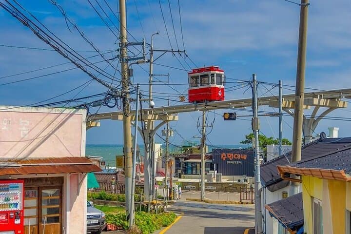 Custom Private Busan & Gyeongju Tour — Tailored Full‑Day Cultural and Coastal Drive photo 4