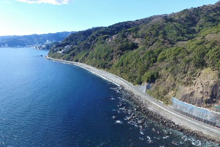 Izu Mount Omuro Day Tour — Atami Beach Line, Ropeway & Jogasaki Coast Guide photo 4