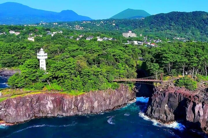 Izu Mount Omuro Day Tour — Atami Beach Line, Ropeway & Jogasaki Coast Guide photo 5