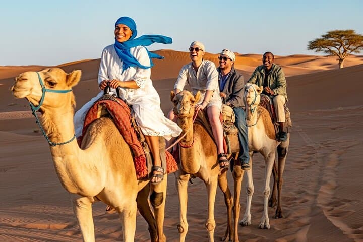 Agafay Desert Sunset: Camels, Quads & Starlit Moroccan Dinner