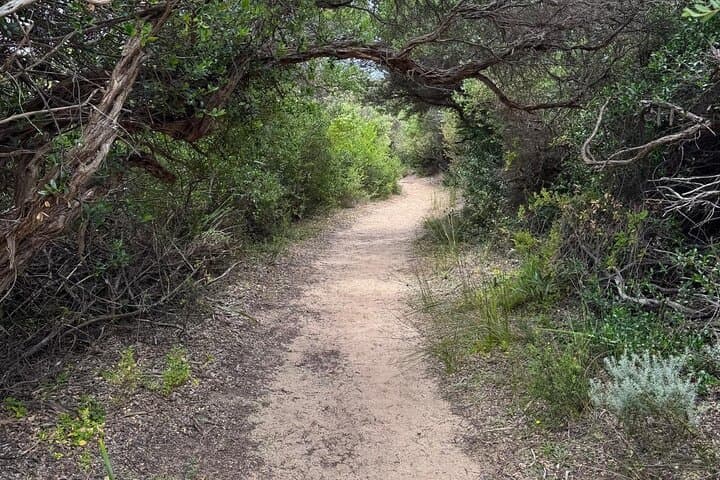 Wilsons Promontory Private Day Tour from Melbourne — Mount Oberon, Squeaky Beach & Wildlife photo 2