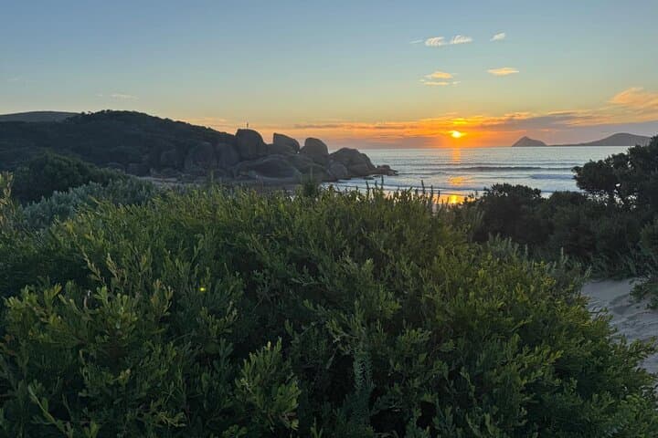 Wilsons Promontory Private Day Tour from Melbourne — Mount Oberon, Squeaky Beach & Wildlife photo 3