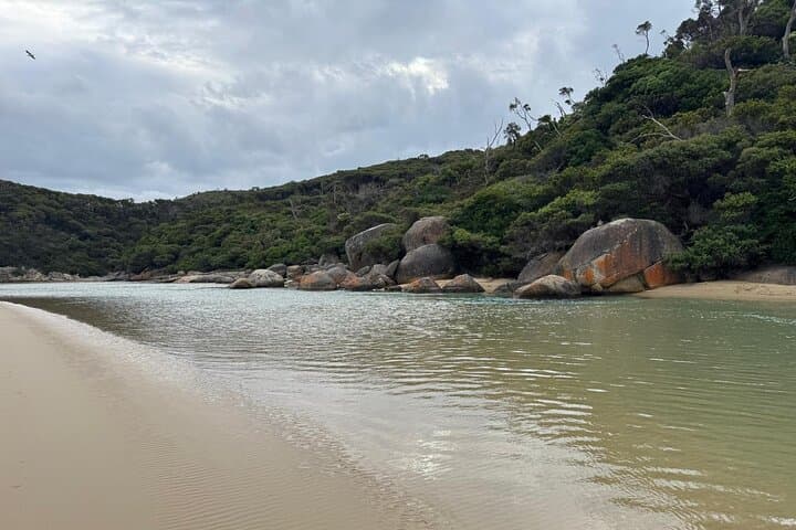 Wilsons Promontory Private Day Tour from Melbourne — Mount Oberon, Squeaky Beach & Wildlife photo 4