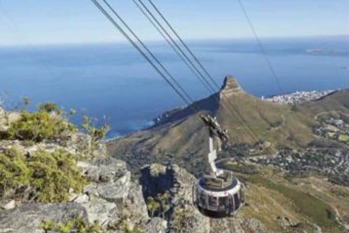 Robben Island and Table Mountain: Full-Day Guided Tour from Cape Town photo 6