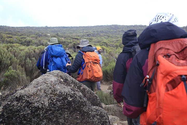 6-Day Kilimanjaro Climb via Marangu Route: Hut-to-Hut Ascent to Uhuru Peak photo 4