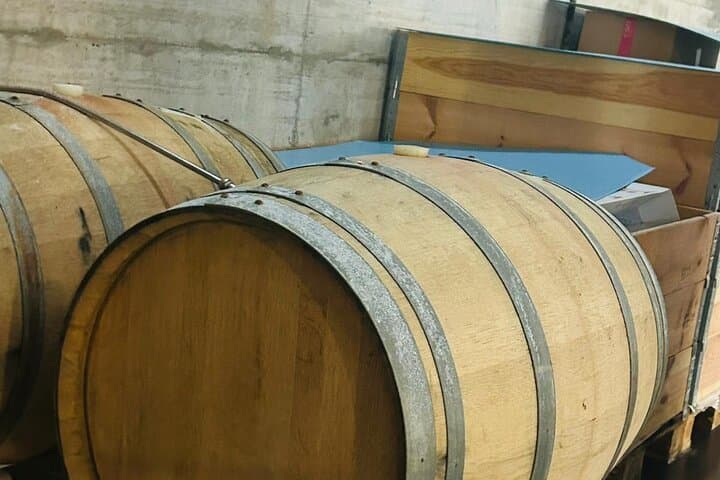 Etna Volcano Wine Tasting & Cellar Lunch with Private Transfer photo 4