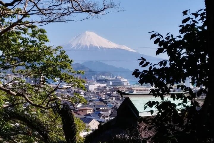 Shizuoka Nihondaira Tea Fields & Ryugeji Temple Guided Day Tour photo 3