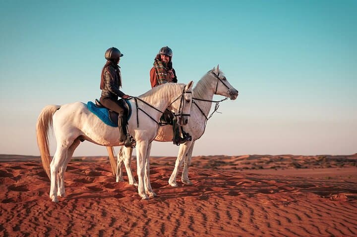 Doha Desert Horseback Riding: Guided Arabian Horse Experience with Transport photo 3