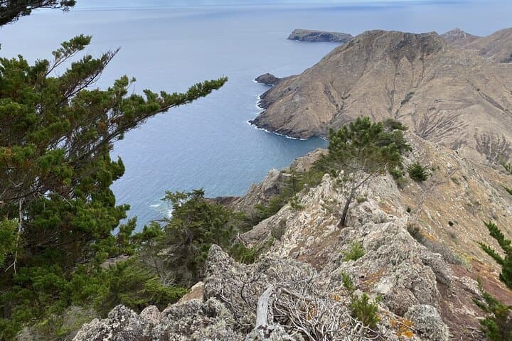Porto Santo Pico Branco & Terra Cha Hike — PR1 Cliffs and Picnic Viewpoints photo 2