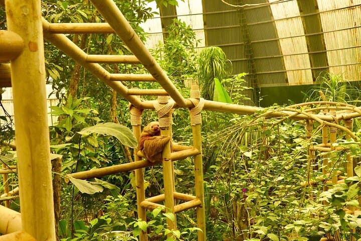 Monteverde Cloud Forest & Sloth Sanctuary Day Trip from Puntarenas photo 3
