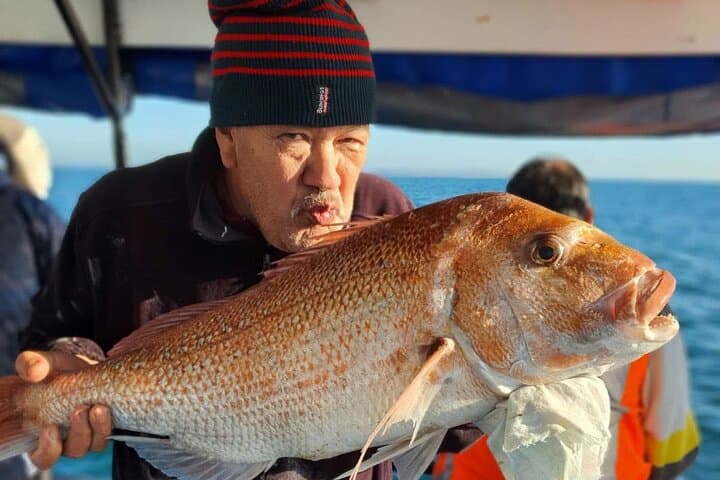 Full-Day Fishing Trip on Auckland's Waitematā Harbour aboard MV Ocean Spirit
