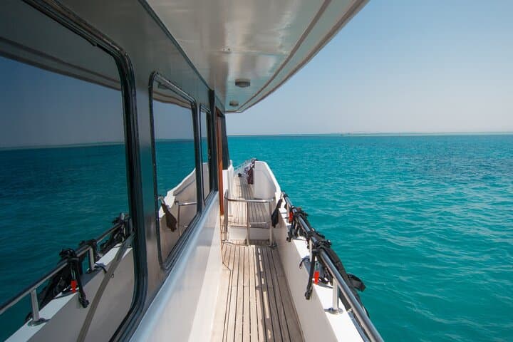 Orange Bay Snorkeling Day Trip from Hurghada — Coral Reefs, Beach & Water Sports photo 6