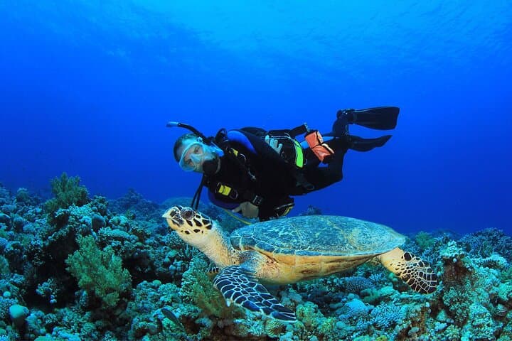 Certified Scuba Diving Training in Butterfly Valley, Turkey photo 4