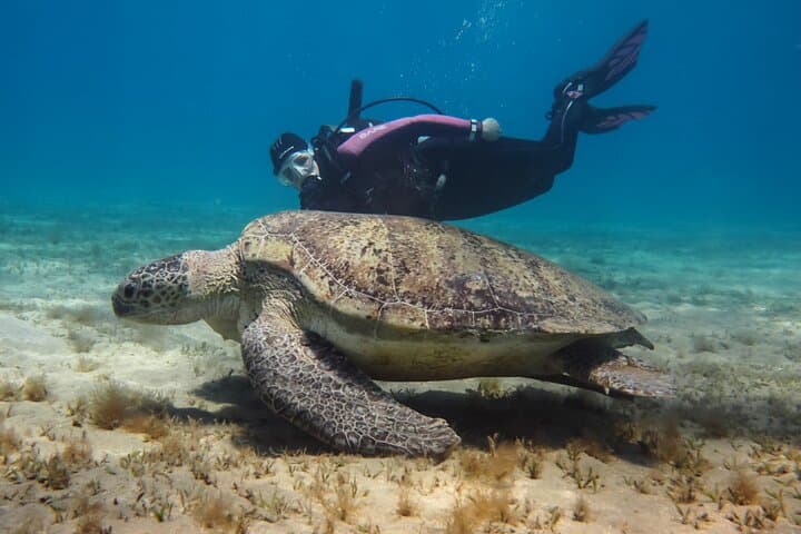 Certified Scuba Diving Training in Butterfly Valley, Turkey photo 5