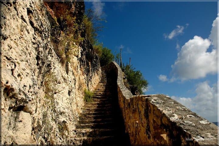 Guided North & South Island Tour of Bonaire — Small Group with Pickup photo 5