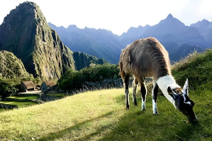 Sacred Valley & Machu Picchu Two-Day Overnight Train Tour photo 5