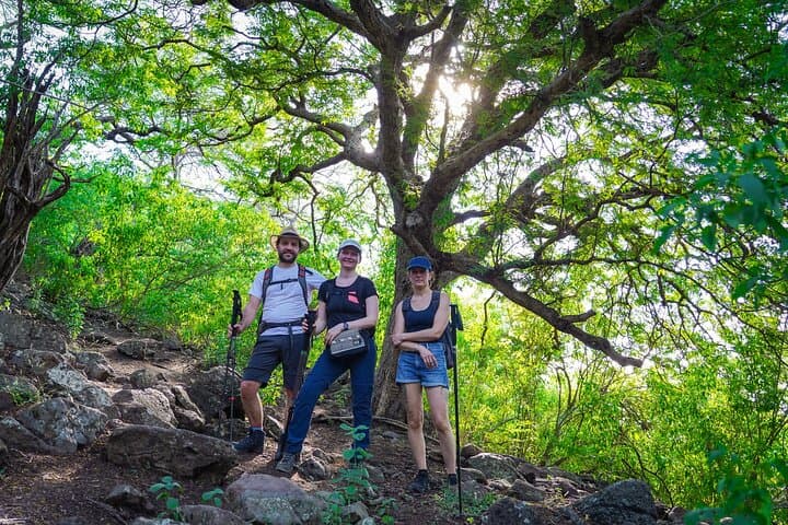 La Tourelle de Tamarin Hike: Summit Trek on Mauritius’ Wild West Coast photo 4