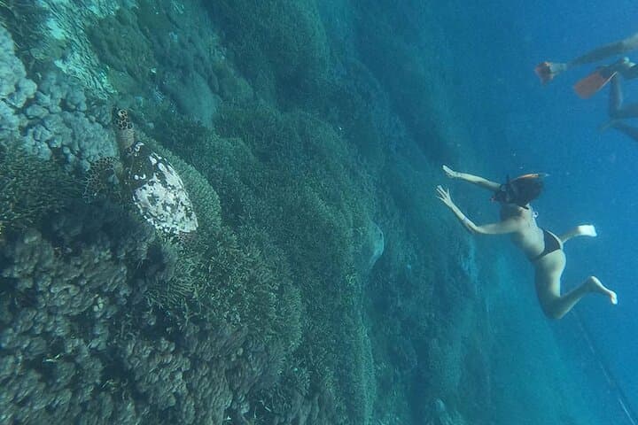 Nusa Penida Snorkeling with Manta Rays: 4-Spot Day Trip from Bali photo 5