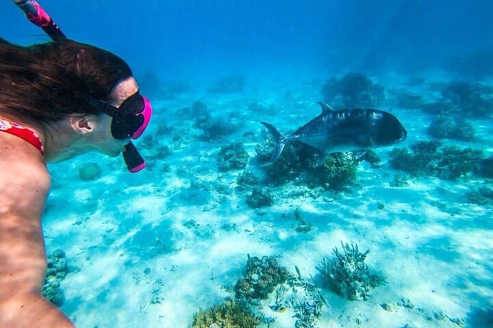 Nusa Penida Snorkeling with Manta Rays: 4-Spot Day Trip from Bali photo 6