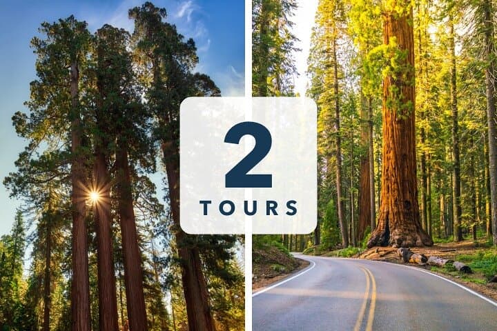 Self-Guided Sequoia & Kings Canyon Audio Tour: Drive, Hike, and Explore at Your Pace