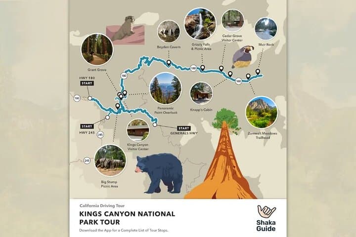 Self-Guided Sequoia & Kings Canyon Audio Tour: Drive, Hike, and Explore at Your Pace photo 4