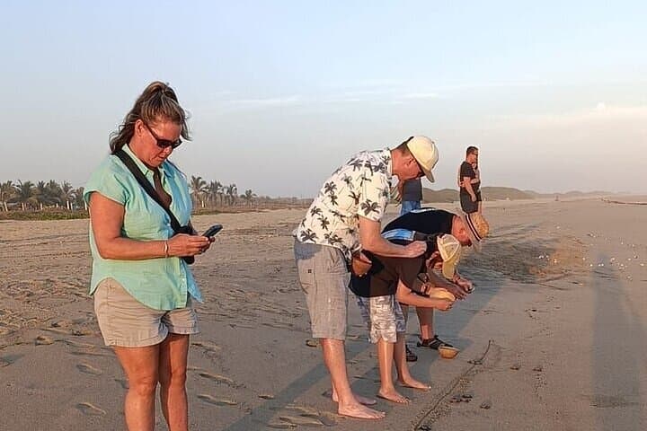 Turtle Release at Escobilla Beach: Olive Ridley Hatchling Experience near Huatulco photo 2