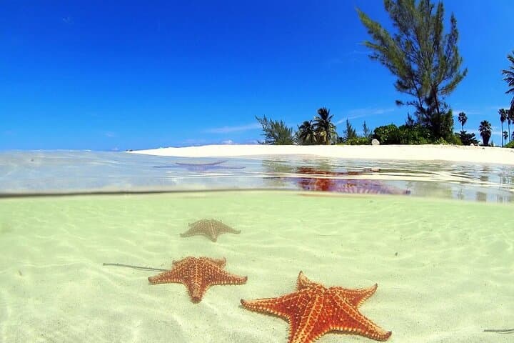 Cayman Combo Adventure: Stingray City, Starfish Point & Crystal Caves photo 2