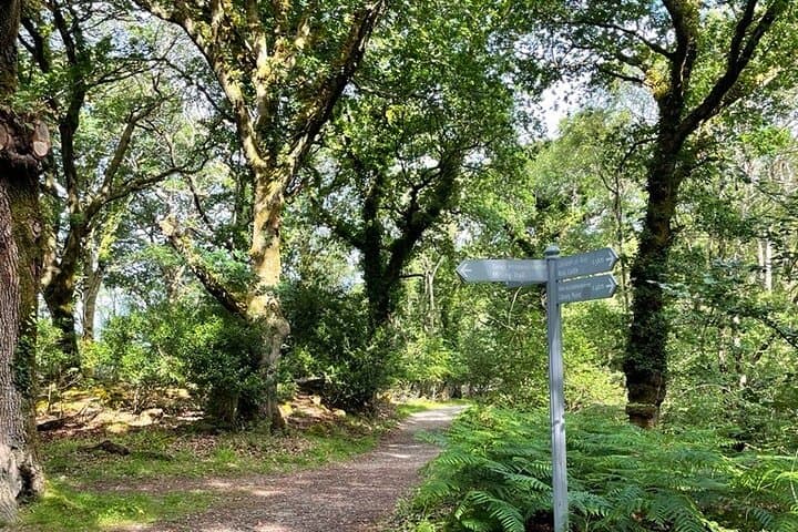 Ross Castle to Copper Mines: Self-Guided Audio Walking Tour in Killarney photo 5