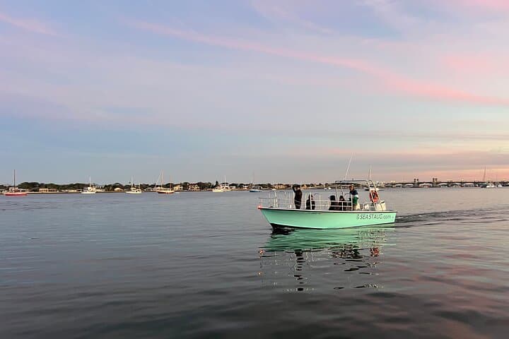 St. Augustine Dolphin and Nature Boat Excursion: 90-Min Eco Boat Tour photo 2