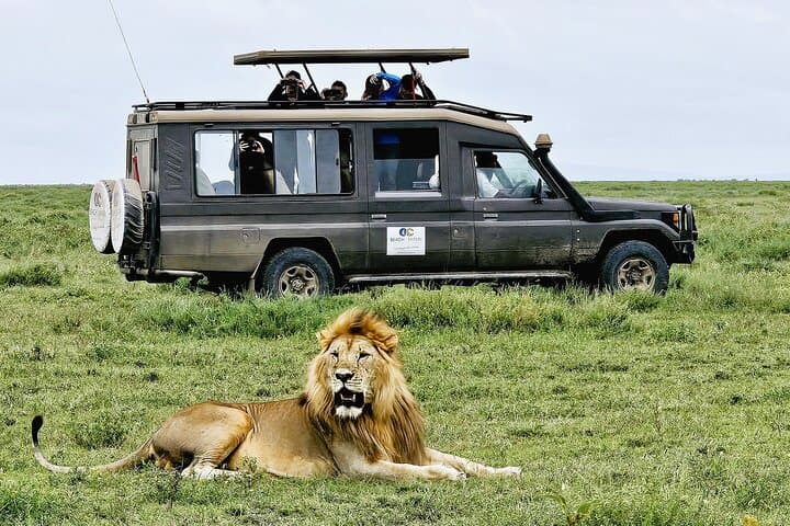 3-Day Tanzania Safari from Arusha: Tarangire, Ngorongoro & Lake Manyara