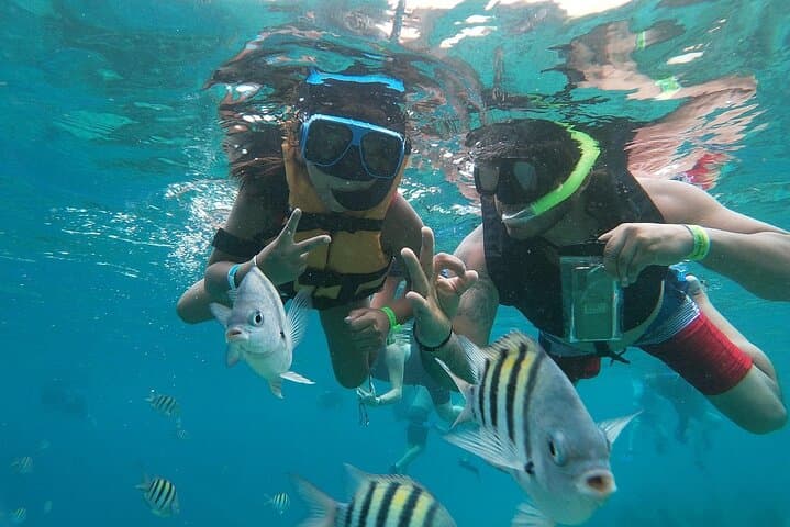 Chankanaab Park Cozumel: A Beginner-Friendly Snorkel and Beach Day in Cozumel photo 4