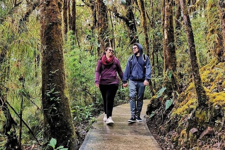 Quetzales Route: Naturalist Cloud-Forest Exploration in Costa Rica photo 4