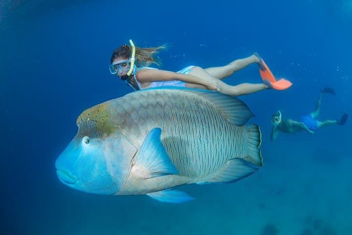 Great Barrier Reef & Green Island Full-Day Adventure from Cairns photo 6
