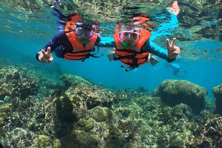 Huatulco Viewpoints and Snorkeling at Playa La Entrega photo 5