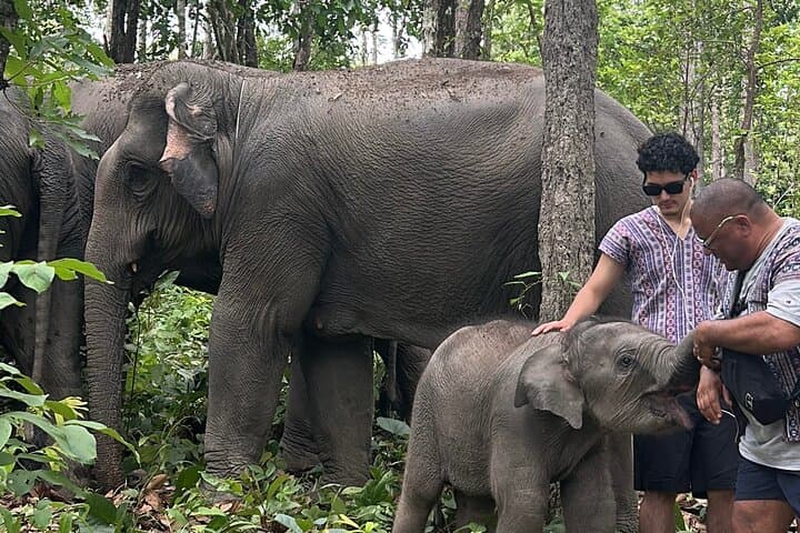 Half-Day Doi Inthanon Elephant Sanctuary Tour from Chiang Mai photo 4