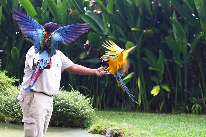 Bali Bird Park Admission: Interactive Feeding, Live Shows & 4D Cinema photo 6
