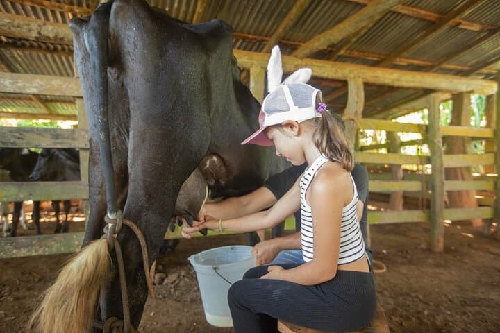 Blue Zone Farm Immersion: Nicoya Peninsula Cultural & Farming Tour photo 4