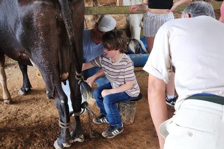 Blue Zone Farm Immersion: Nicoya Peninsula Cultural & Farming Tour photo 5