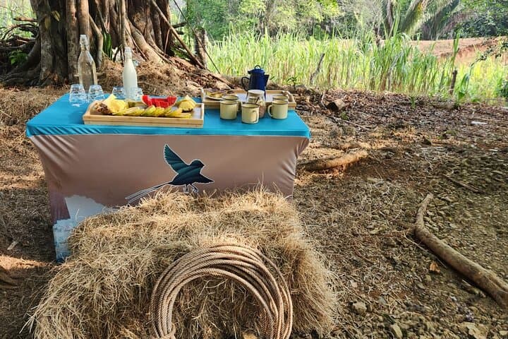 Blue Zone Farm Immersion: Nicoya Peninsula Cultural & Farming Tour photo 6