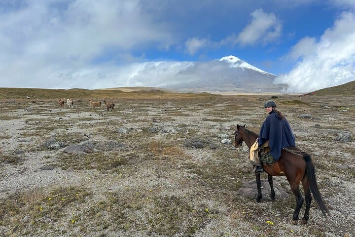 Horseback Riding in Cotopaxi: Páramo Trails & José Rivas Views photo 4