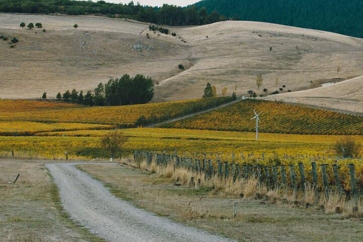 Waipara Valley Winery Tour: Wine Tastings & Scenic Views from Christchurch photo 2