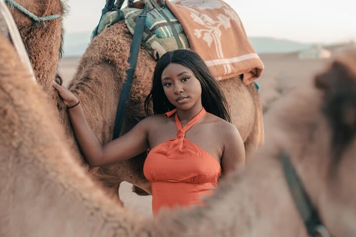 Agafay Desert Sunset Camel Ride and Dinner Show from Marrakech photo 5