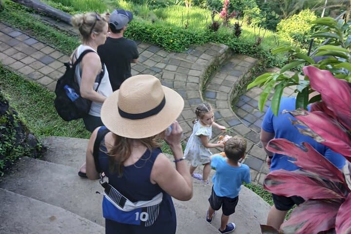 Ubud Discovery Day Tour: Rice Terraces, Monkey Forest & Sacred Sites photo 2