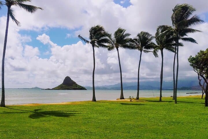 Oahu Circle Island Tour from Waikiki: Snork North Shore, See Diamond Head & Haleiwa photo 3