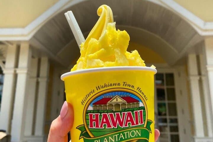 Oahu Circle Island Tour from Waikiki: Snork North Shore, See Diamond Head & Haleiwa photo 4