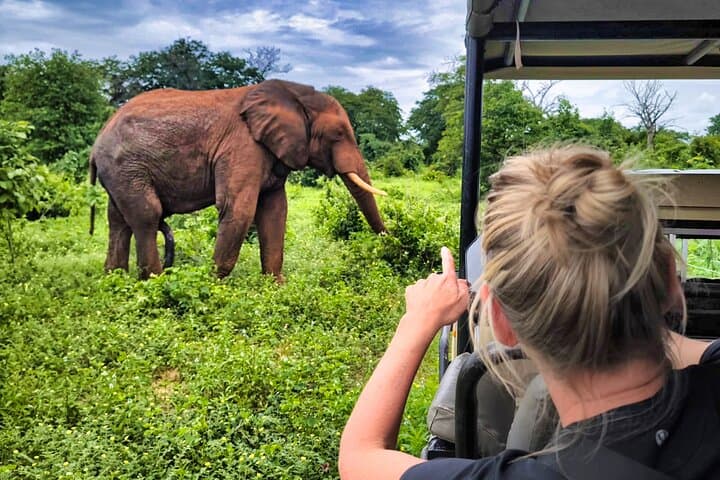 From Roar to River: Chobe’s Sunrise-to-Sunset Safari photo 5