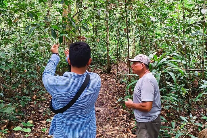 Sunrise Hike in Iquitos' White Sand National Park